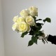 Моно букет из 7 Кремовых Роз