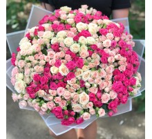 101 Кустовая Малиновая и Розовая Роза (50 см.)