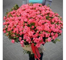101 Кустовая Коралловая Роза (50 см.)