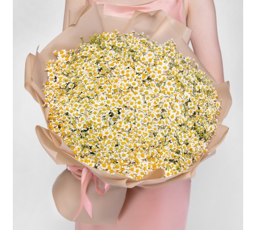 101 Кустовая Ромашка