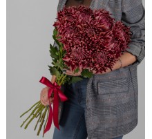 Букет 11 Бордовых Хризантем Бигуди