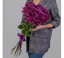 Букет 11 Фиолетовых Хризантем Бигуди