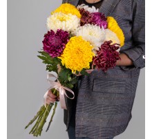 Букет 11 Хризантем Бигуди Микс