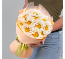 Букет 11 Крупных Ромашек