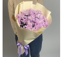 11 Сиреневых Кустовых Хризантем