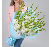 15 Белых Гладиолусов