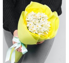15 Белых Кустовых Нарциссов