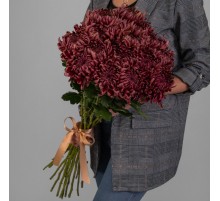 Букет 15 Бордовых Хризантем Бигуди