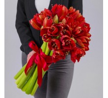 15 Красных Амариллисов