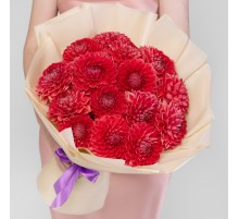 15 Красных Георгинов