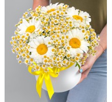 15 Ромашек Микс в коробке