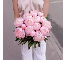 Букет из 15 Пионов Розовых