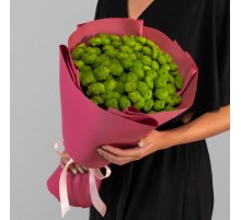 11 Зеленых Кустовых Хризантем