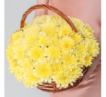 15 Желтых Кустовых Хризантем в корзине