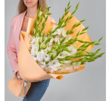 17 Белых Гладиолусов