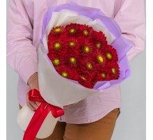 17 Красных Георгинов