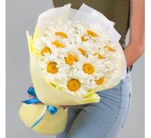 Букет 19 Крупных Ромашек