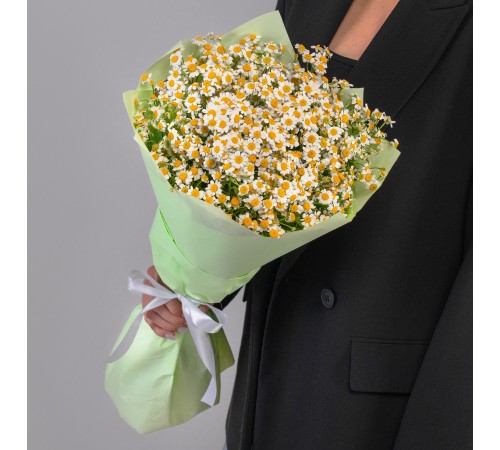 19 Кустовых Ромашек