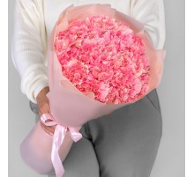 19 Розовых Гвоздик