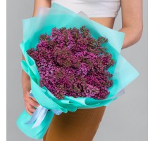 19 Сиреневой Сирени