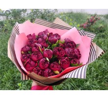 23 Красных Пиона