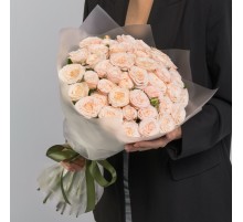 25 Кустовых Пионовидных Кремовых Роз (50 см.)