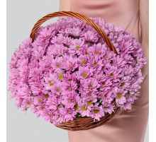 25 Розовых Кустовых Хризантем Ромашка в корзине
