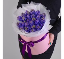 25 Синих Гиацинтов в коробке