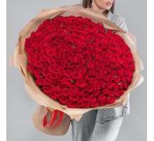251 Красная Роза (70 см.)