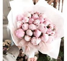 29 Розовых Пионов