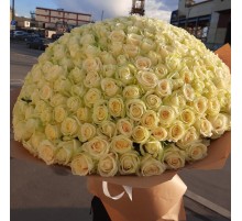 301 Белая Роза (60 см.)