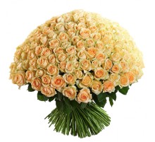 301 Персиковая Роза (60 см.)