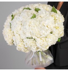 Букет 35 Белых Гортензий