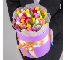 35 Тюльпанов Микс в коробке