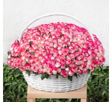 Букет 501 Роза Джумилия в корзине