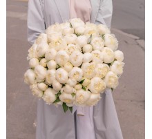Букет из 51 Пиона Белый