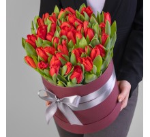 51 Красный Тюльпан в коробке
