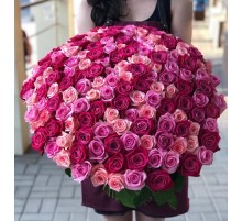 101 Малиновая и Розовая Роза (60 см.)