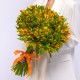 51 Желтая Альстромерия