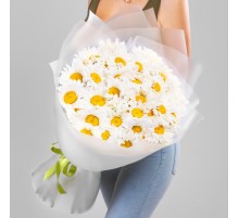 Букет 55 Крупных Ромашек