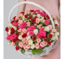 55 Кустовых Роз Микс в корзине
