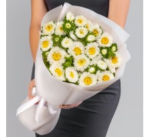 15 Белых Кустовых Астр