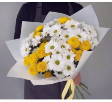 9 Бело-Желтых Кустовых Хризантем