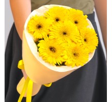 7 Желтых Гермини