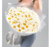 Букет 85 Крупных Ромашек