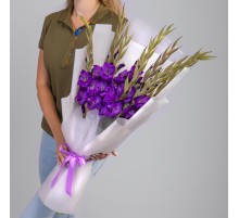 9 Фиолетовых Гладиолусов