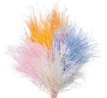 Аспарагус Триферн микс (1 ветка) стабилизированный