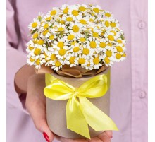 5 Кустовых Ромашек в коробке
