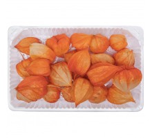 Физалис сухоцвет оптом (1 штука)