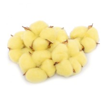 Хлопок желтый сухоцвет (1 цветок)